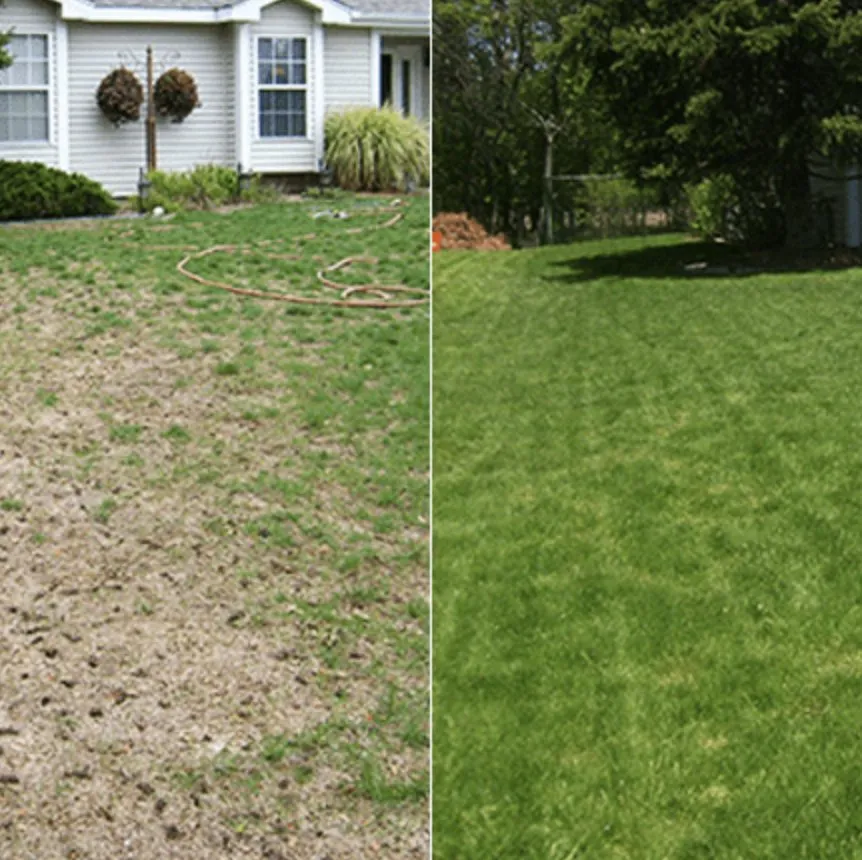 Affordable residential landscaping in Troy, NY - Top Turf Lawn Solutions