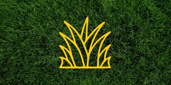 Top Turf Lawn Solutions Logo