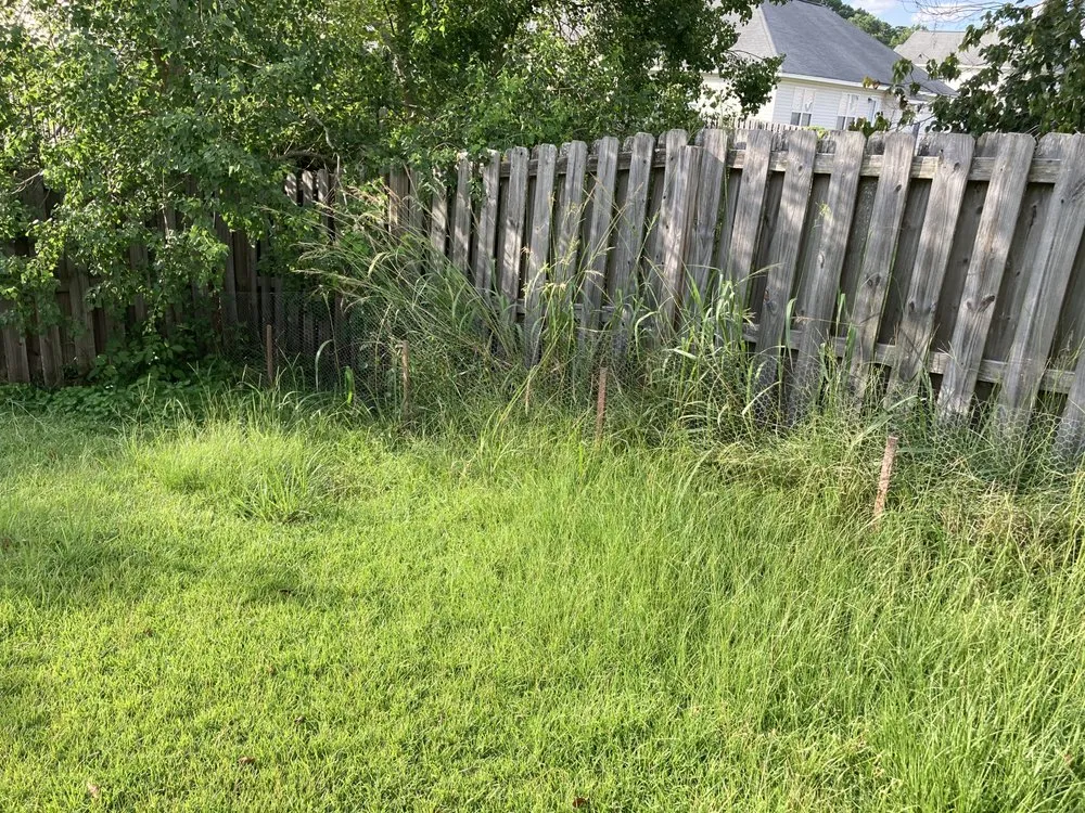 Reliable landscaping services in Guyton, GA by Top Turf Lawn Spraying