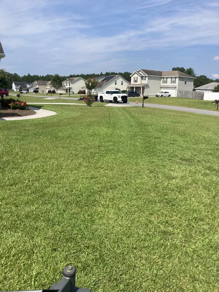 Custom lawn care service experts serving Guyton, GA - Top Turf Lawn Spraying