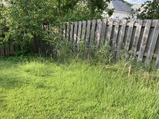 Top Turf Lawn Spraying Logo