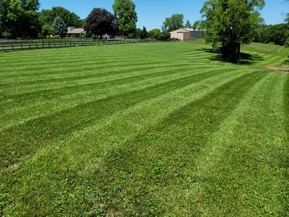 Local lawn mowing service with custom design in Blue Springs, MO by Top Turf Outdoor Services