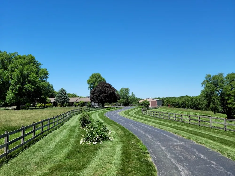 Expert yard cleanup service experts serving Blue Springs, MO - Top Turf Outdoor Services