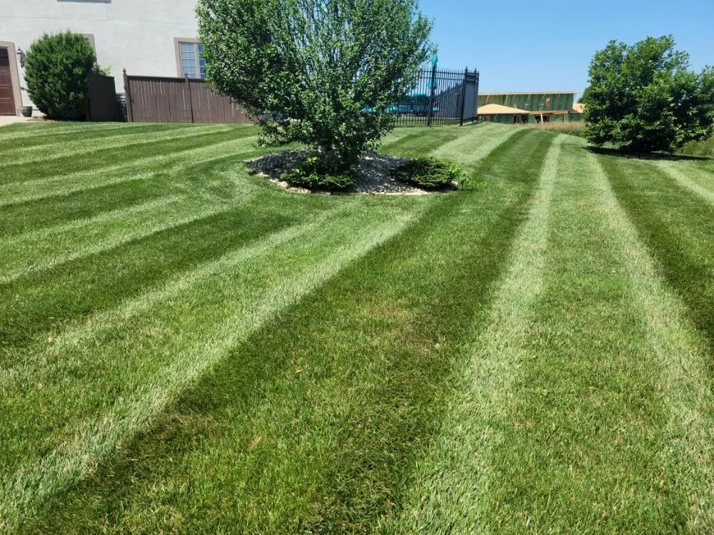 Expert lawn mowing service in Blue Springs, MO by Top Turf Outdoor Services
