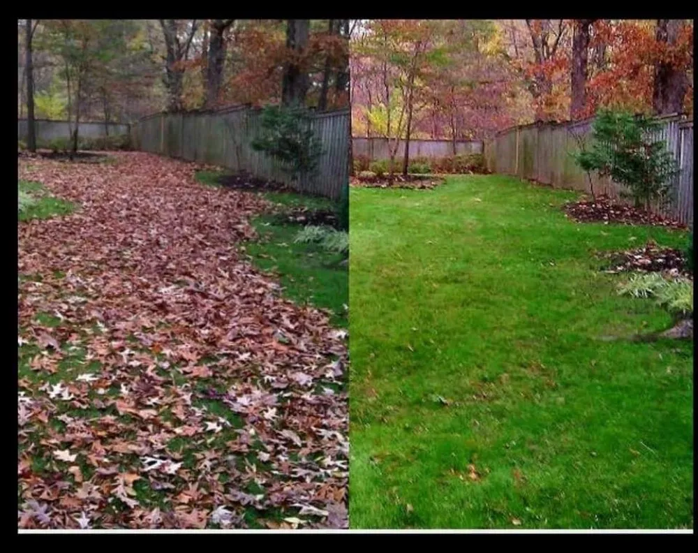 Reliable landscaping services in Blue Springs, MO - Top Turf Outdoor Services