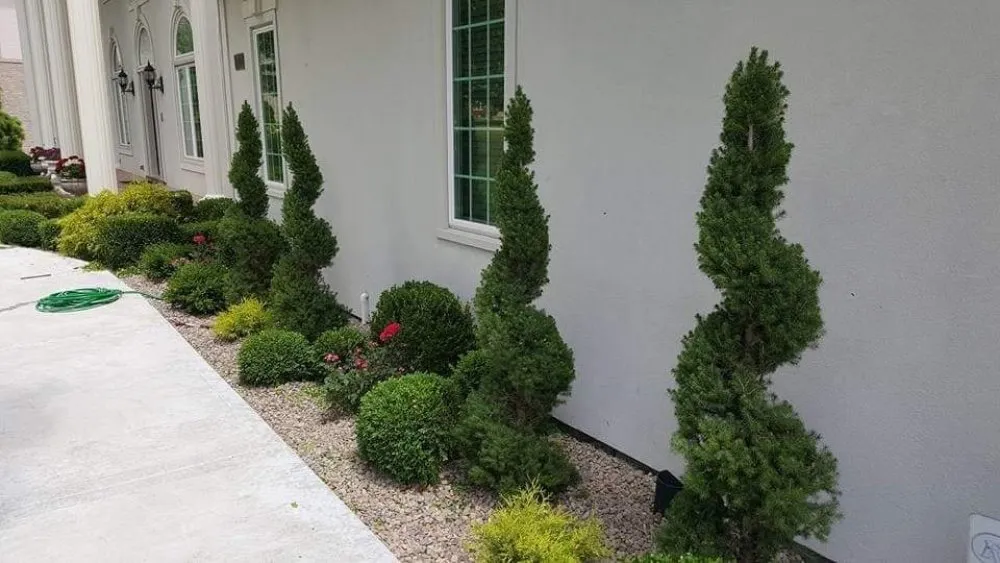 Top-rated lawn care service experts serving Blue Springs, MO - Top Turf Outdoor Services