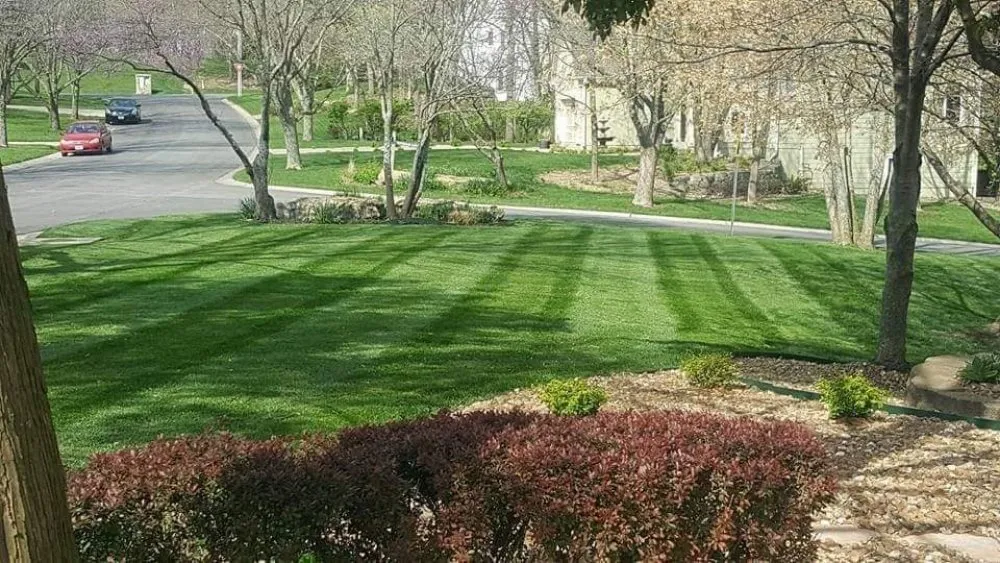 Top-rated residential landscaping experts serving Blue Springs, MO - Top Turf Outdoor Services