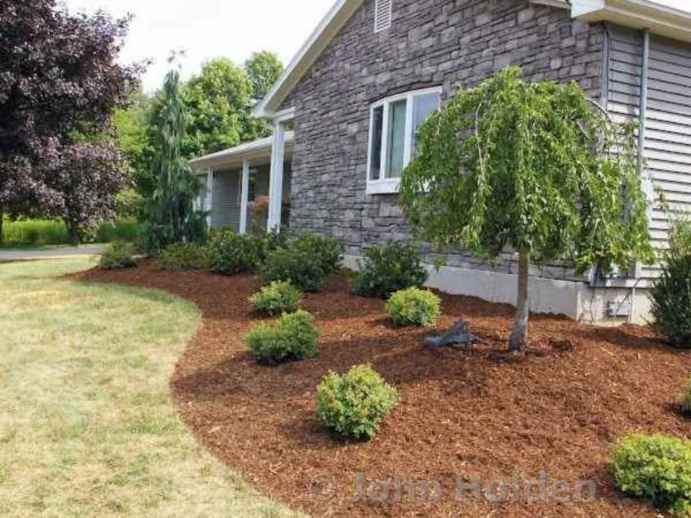 Custom lawn care service near you in Blue Springs, MO by Top Turf Outdoor Services