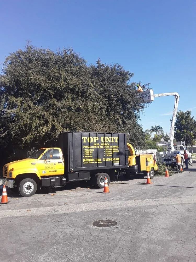 Custom lawn mowing service for residential properties across Norwalk, CA - Top Unit Tree Service