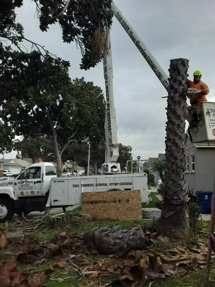 Affordable outdoor landscaping for year-round maintenance across Norwalk, CA - Top Unit Tree Service