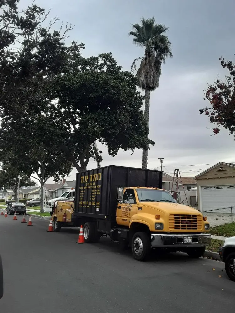 Local landscaping services for outdoor upgrades across Norwalk, CA - Top Unit Tree Service
