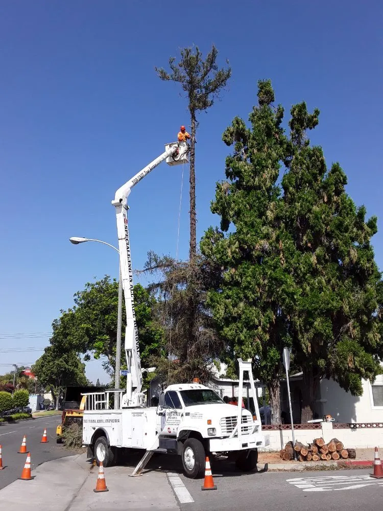 Trusted residential landscaping for homes across Norwalk, CA - Top Unit Tree Service