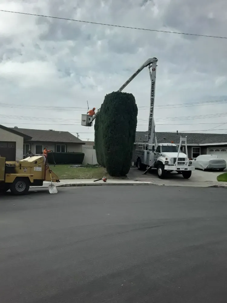 Expert landscaping services for beautiful yards across Norwalk, CA - Top Unit Tree Service
