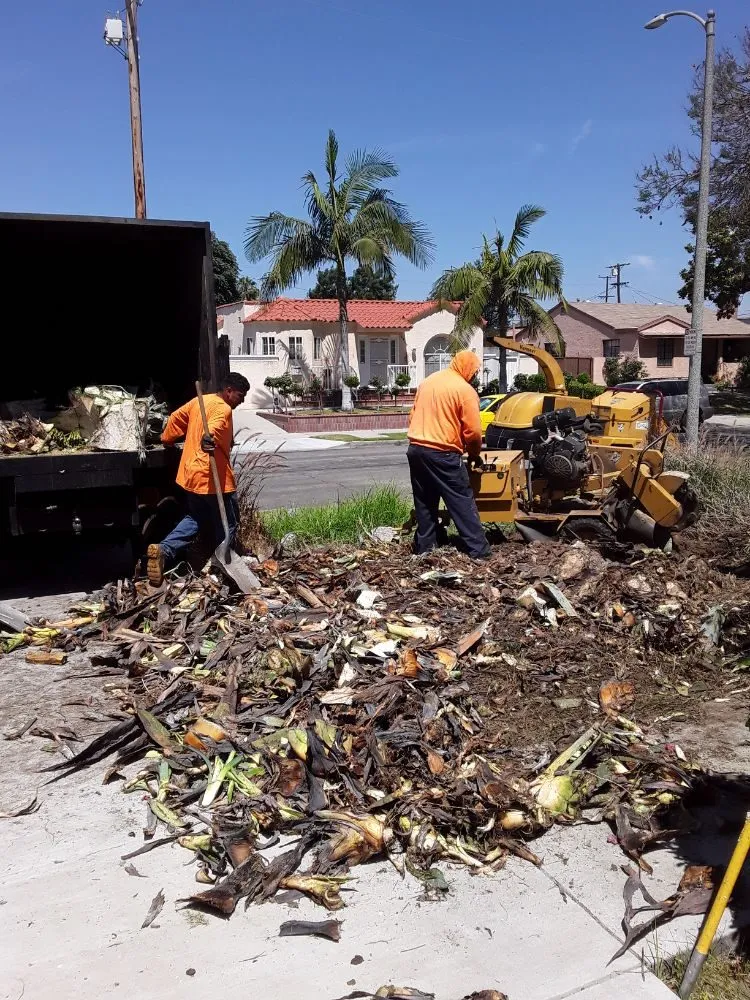 Professional yard maintenance experts serving Norwalk, CA - Top Unit Tree Service