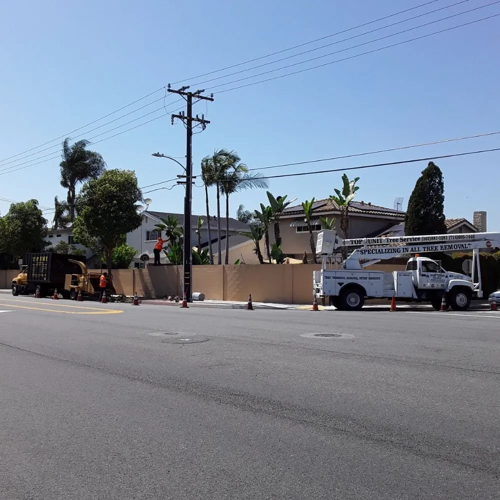 Professional outdoor landscaping for outdoor upgrades in Norwalk, CA by Top Unit Tree Service