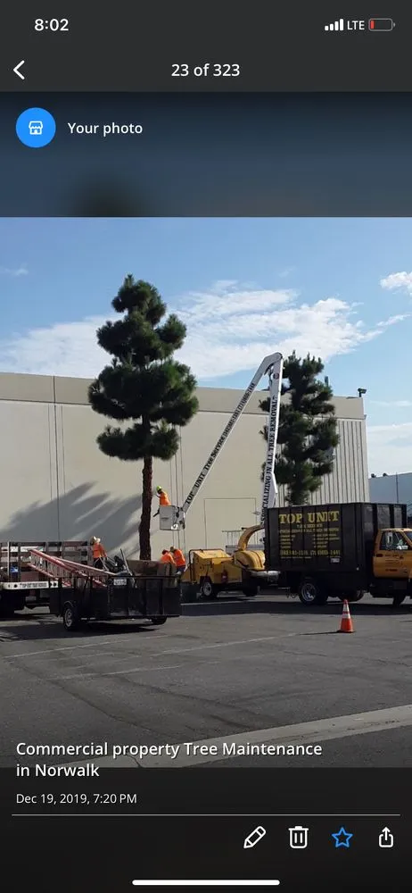 Expert residential landscaping in Norwalk, CA by Top Unit Tree Service