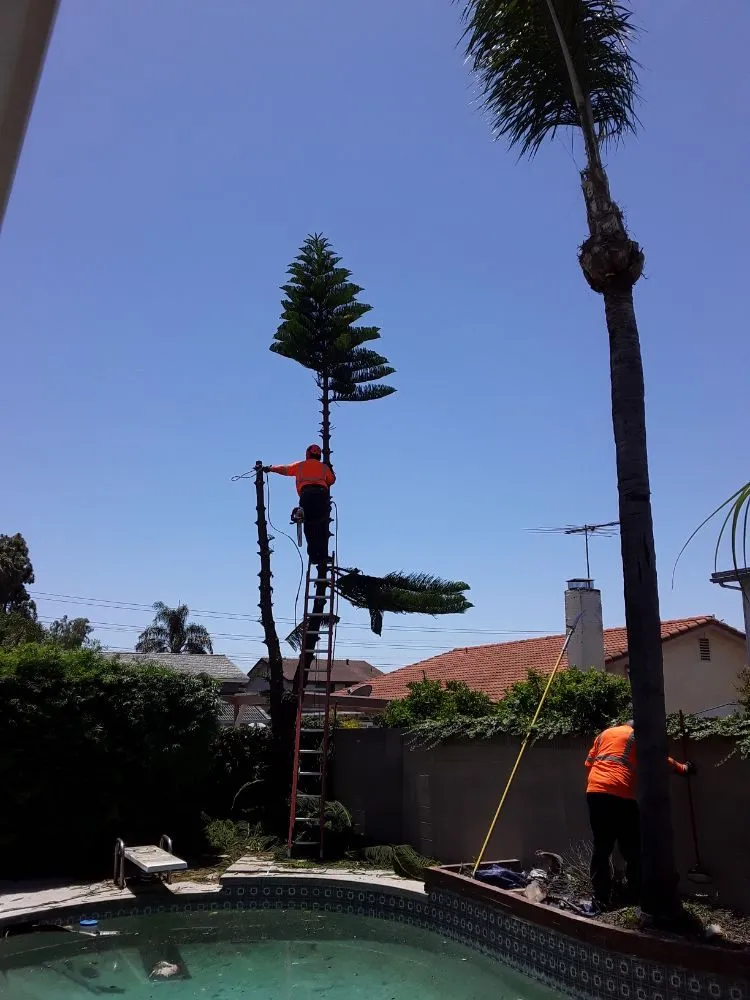 Custom garden landscaping for beautiful yards across Norwalk, CA - Top Unit Tree Service