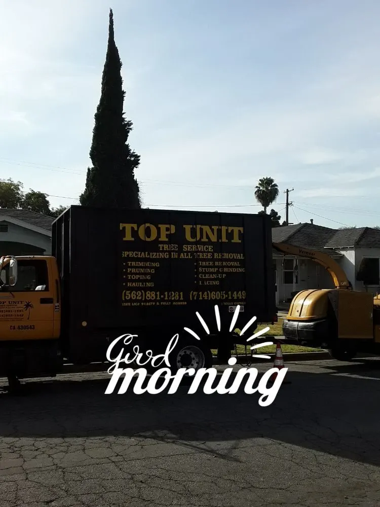 Professional yard maintenance for homes in Norwalk, CA by Top Unit Tree Service