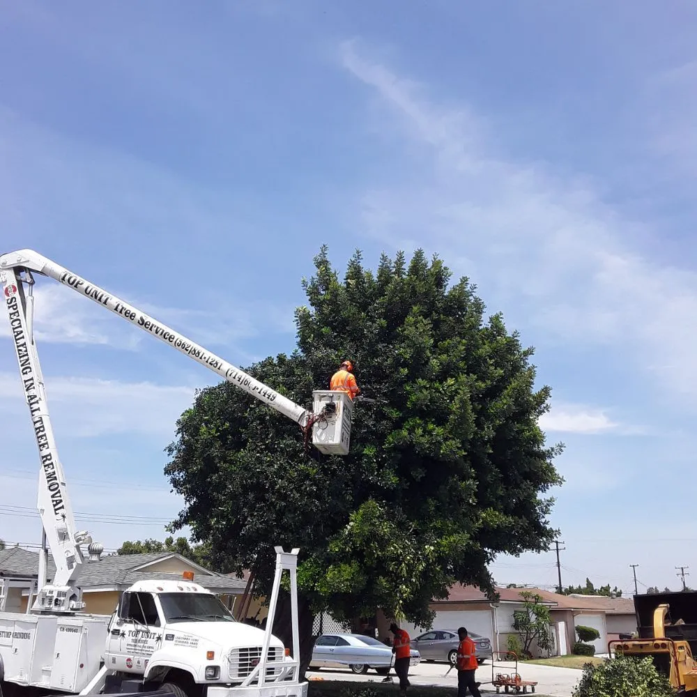 Reliable landscape installation experts serving Norwalk, CA - Top Unit Tree Service