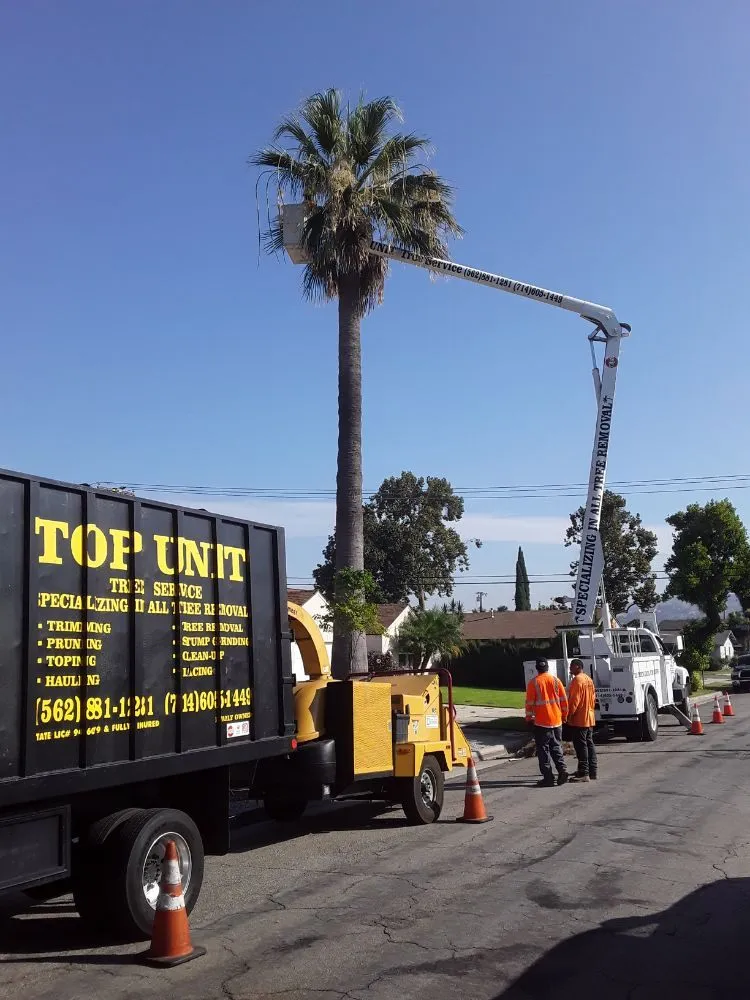 Affordable residential landscaping in Norwalk, CA by Top Unit Tree Service
