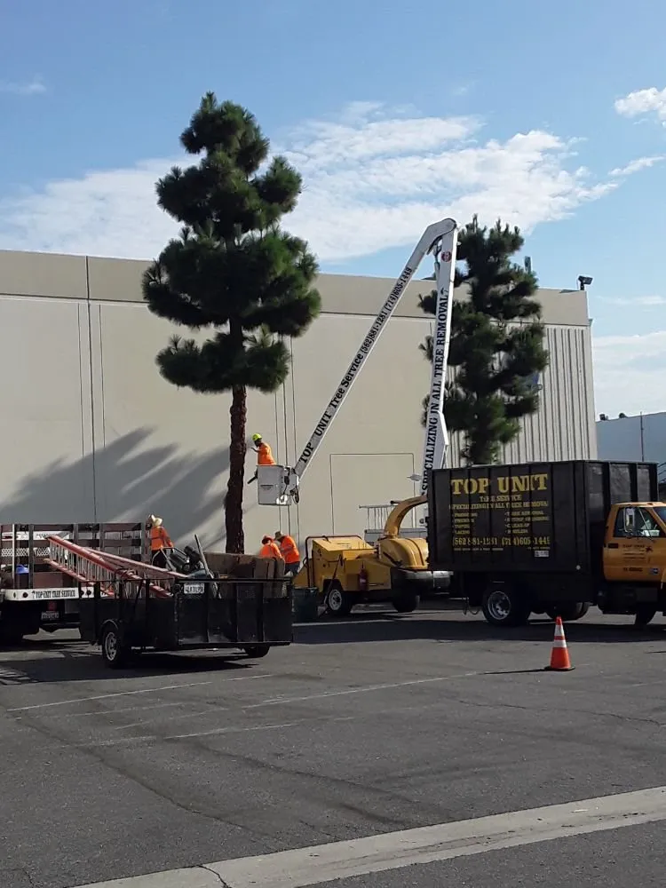 Reliable lawn mowing service for outdoor upgrades across Norwalk, CA - Top Unit Tree Service