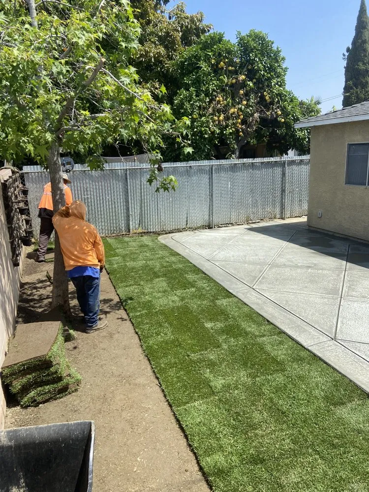Professional yard cleanup service in Norwalk, CA - Top Unit Tree Service