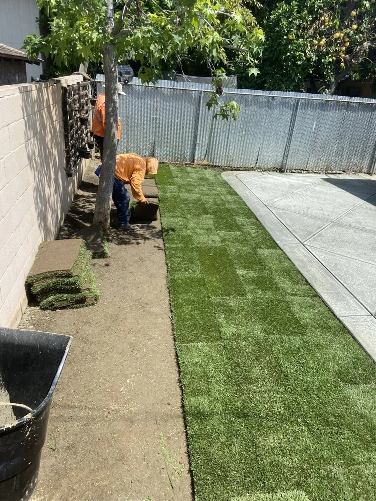 Affordable lawn mowing service in Norwalk, CA by Top Unit Tree Service
