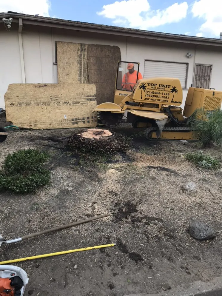 Top-rated residential landscaping in Norwalk, CA - Top Unit Tree Service