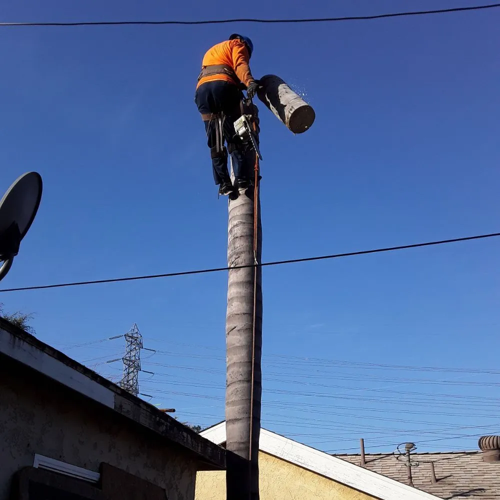 Professional lawn mowing service near you in Norwalk, CA by Top Unit Tree Service