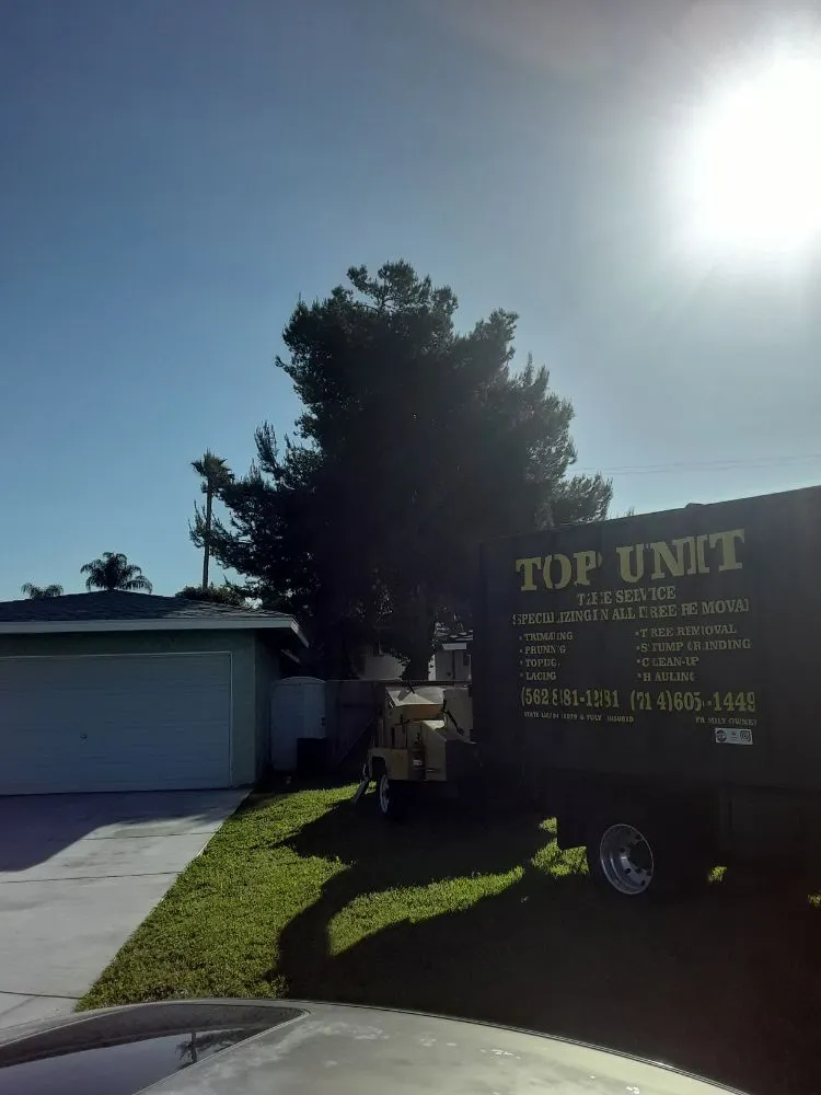 Expert residential landscaping near you across Norwalk, CA - Top Unit Tree Service