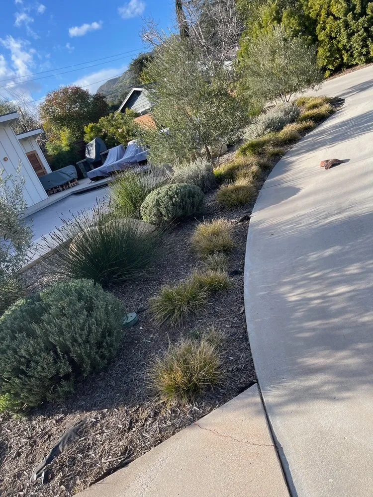 Top-rated landscaping services experts serving Ventura, CA - Topa Topa Landscape