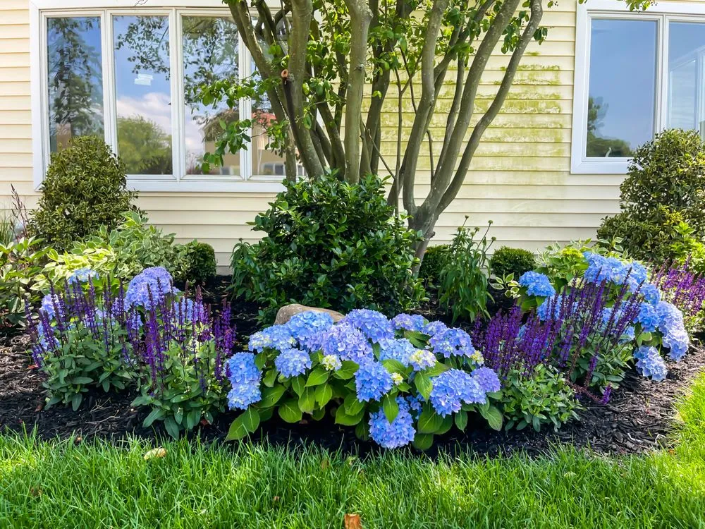 Top-rated yard cleanup service experts serving Oceanside, NY - Topaz Design Group