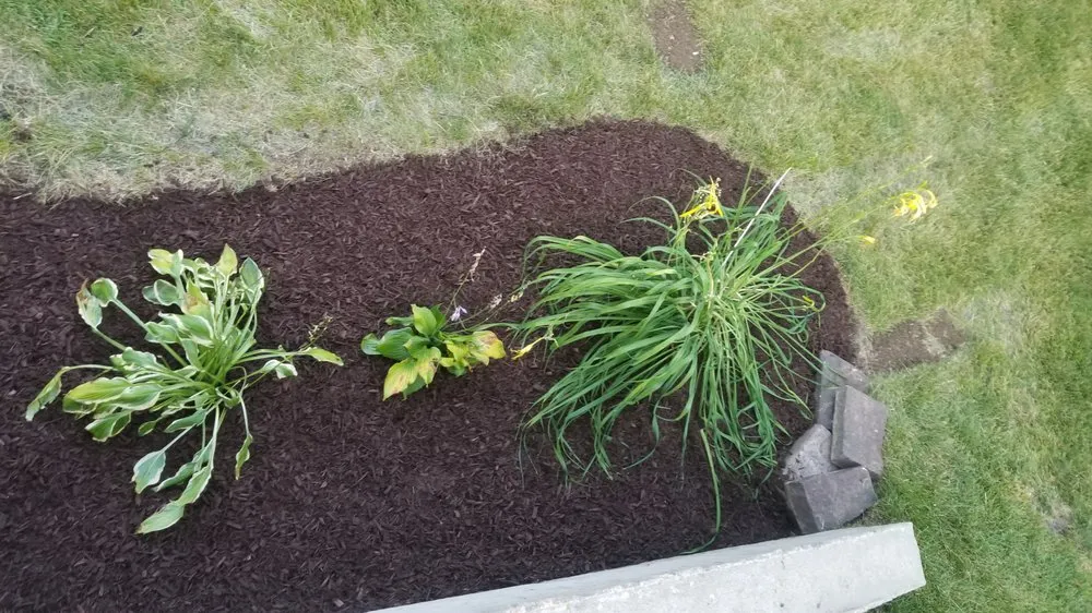 Reliable garden landscaping in Washingtion, IA - TopBlades Landscaping