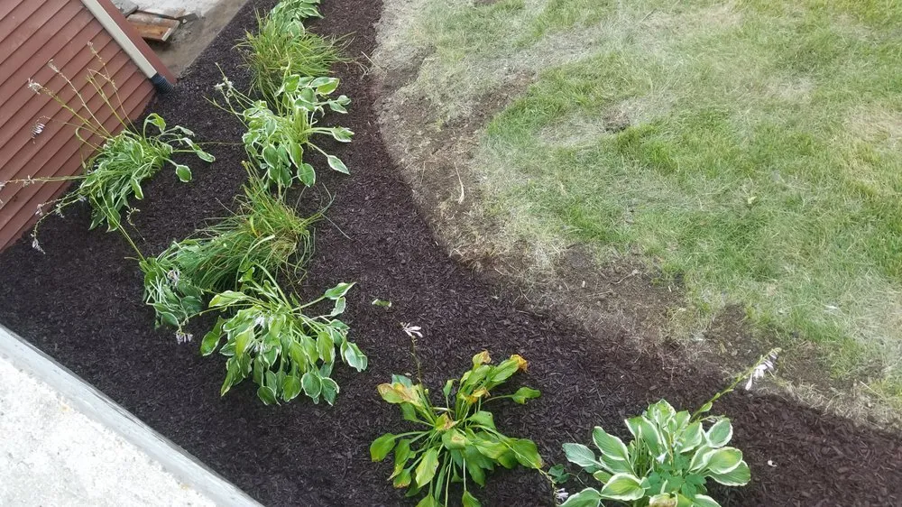 Expert yard cleanup service for outdoor upgrades in Washingtion, IA by TopBlades Landscaping