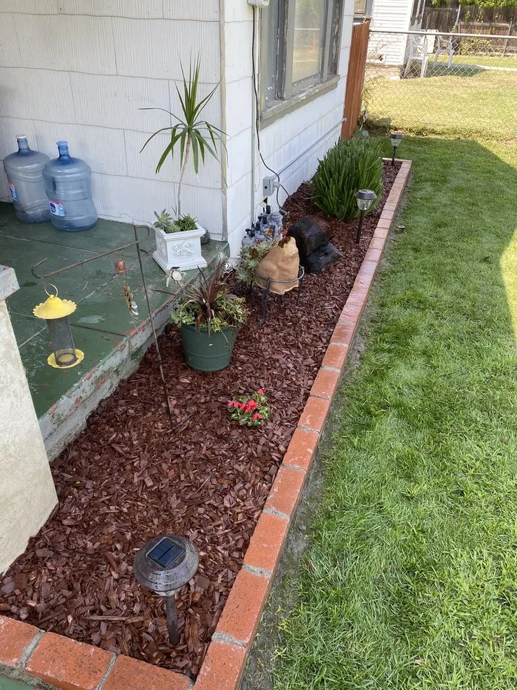 Expert yard maintenance in Colton, CA - Topcut Landscaping
