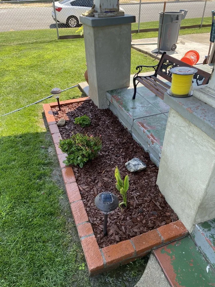 Custom yard cleanup service in Colton, CA - Topcut Landscaping