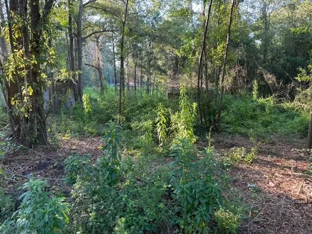 Reliable landscape installation in Aiken, SC by Topdog