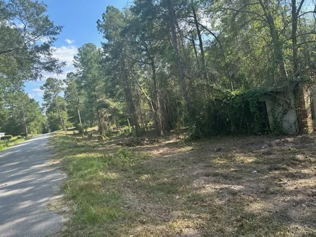 Top-rated landscape design for year-round maintenance across Aiken, SC - Topdog