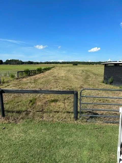 Trusted yard maintenance in Aiken, SC - Topdog