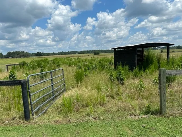 Professional garden landscaping for beautiful yards across Aiken, SC - Topdog