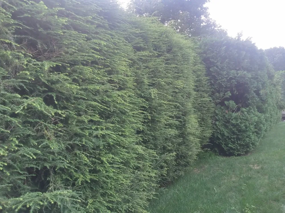 Trusted garden landscaping for year-round maintenance in Holyoke, MA by Topdog All Landscaping Services