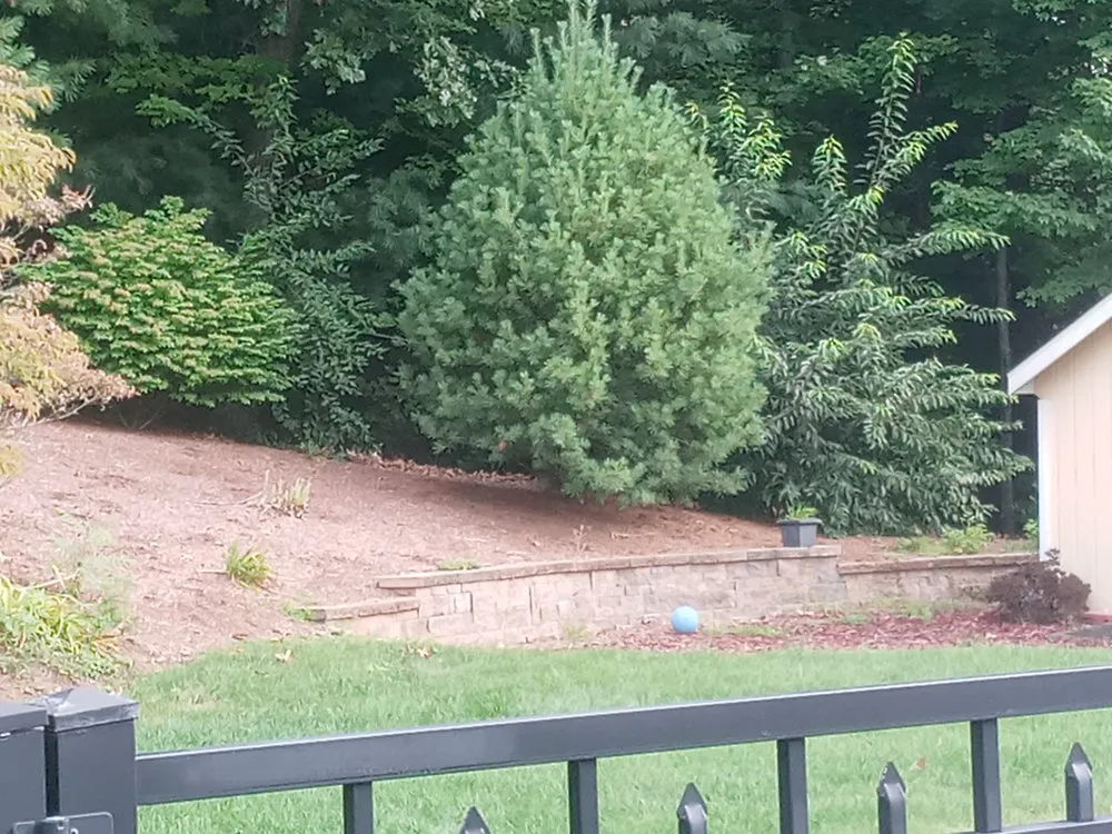 Reliable residential landscaping in Holyoke, MA by Topdog All Landscaping Services