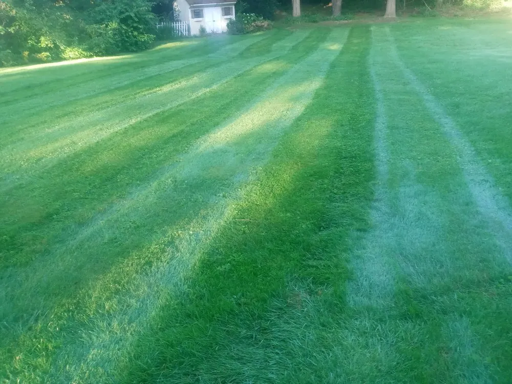 Custom outdoor landscaping experts serving Holyoke, MA - Topdog All Landscaping Services