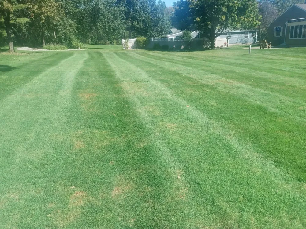 Reliable yard cleanup service in Holyoke, MA by Topdog All Landscaping Services