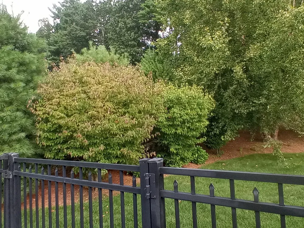 Top-rated residential landscaping in Holyoke, MA by Topdog All Landscaping Services