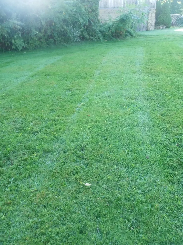 Local outdoor landscaping experts serving Holyoke, MA - Topdog All Landscaping Services