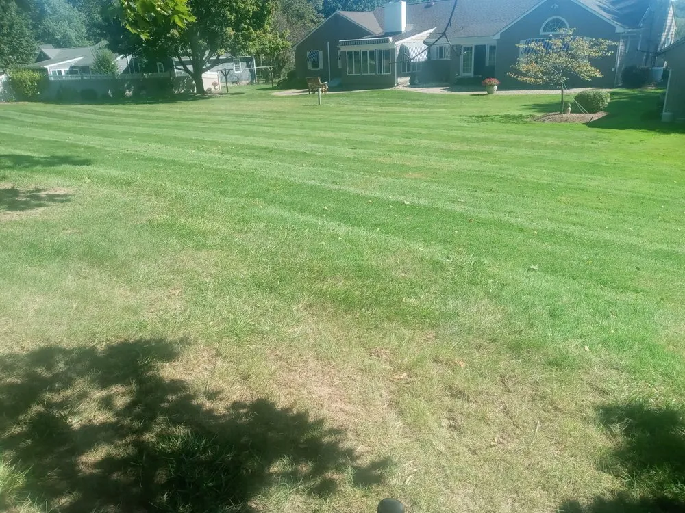 Custom yard cleanup service near you in Holyoke, MA by Topdog All Landscaping Services