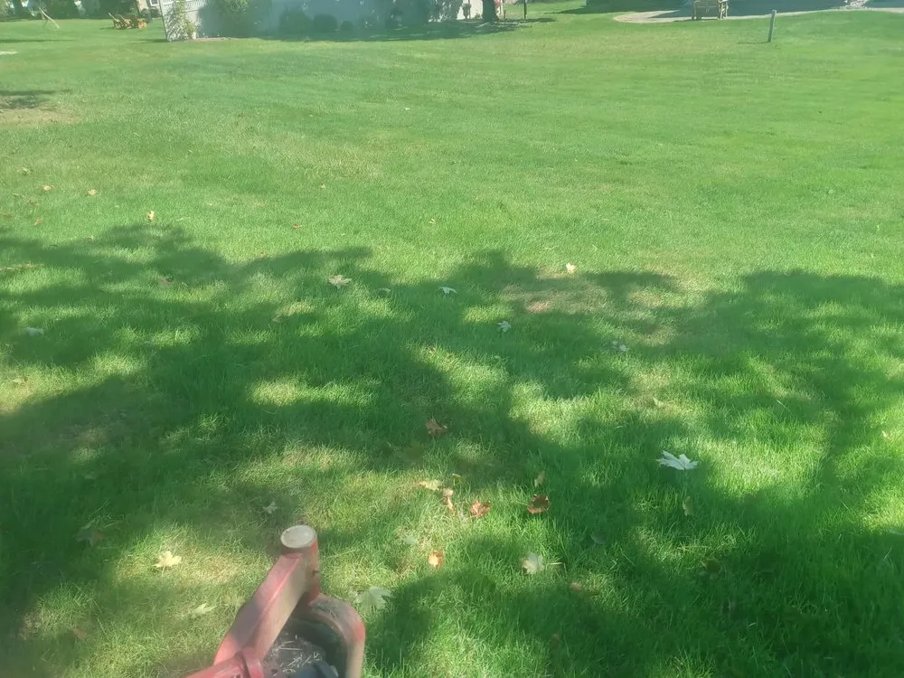 Top-rated landscape installation in Holyoke, MA - Topdog All Landscaping Services