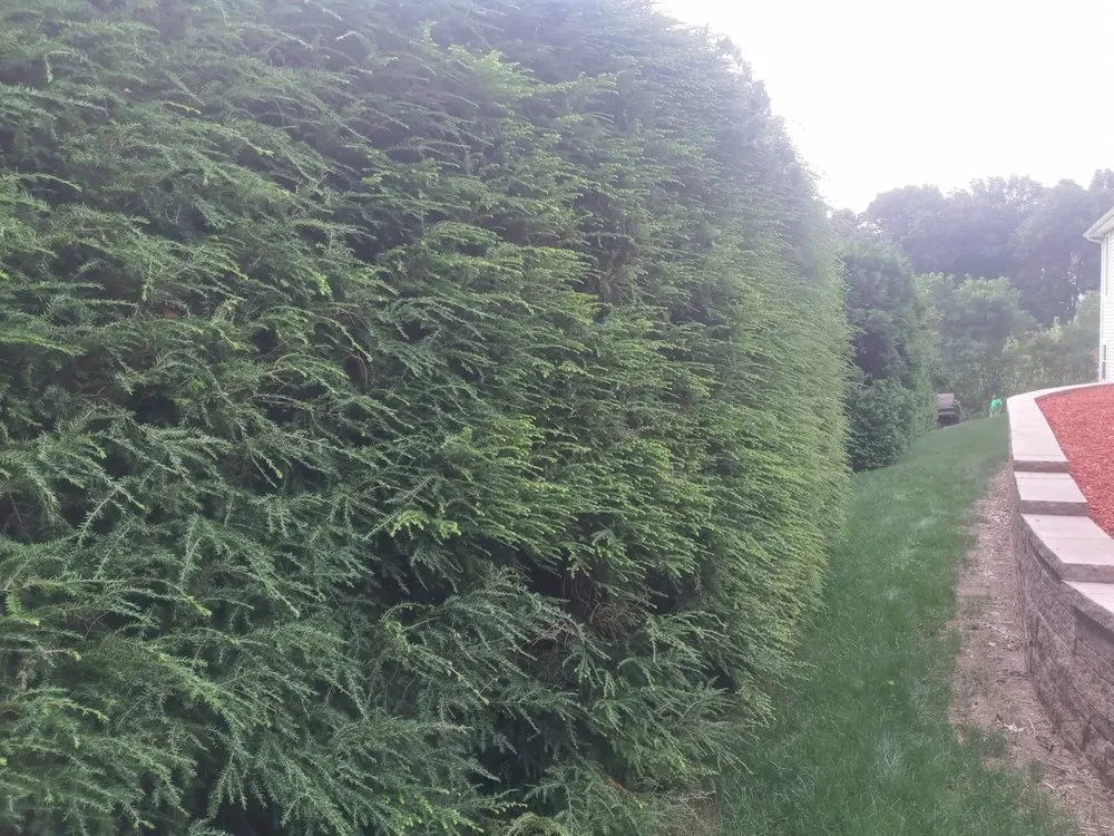 Custom residential landscaping experts serving Holyoke, MA - Topdog All Landscaping Services