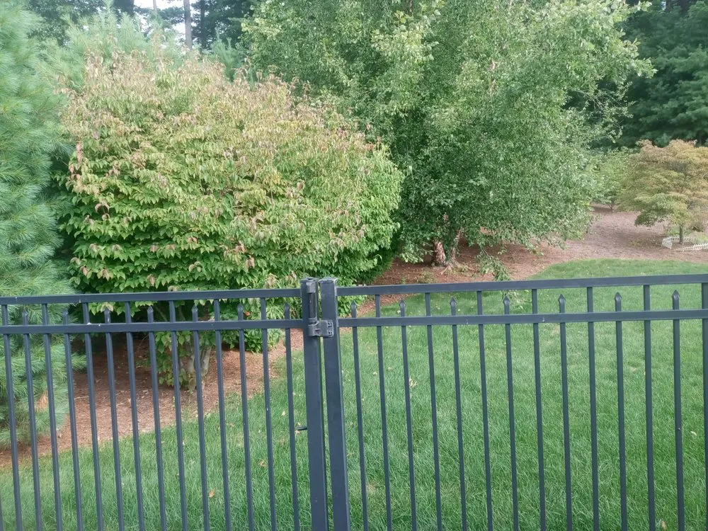 Trusted outdoor landscaping near you across Holyoke, MA - Topdog All Landscaping Services